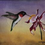 Shiela Mitchell hummingbird THUMBNAIL