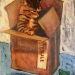 Cat in Box